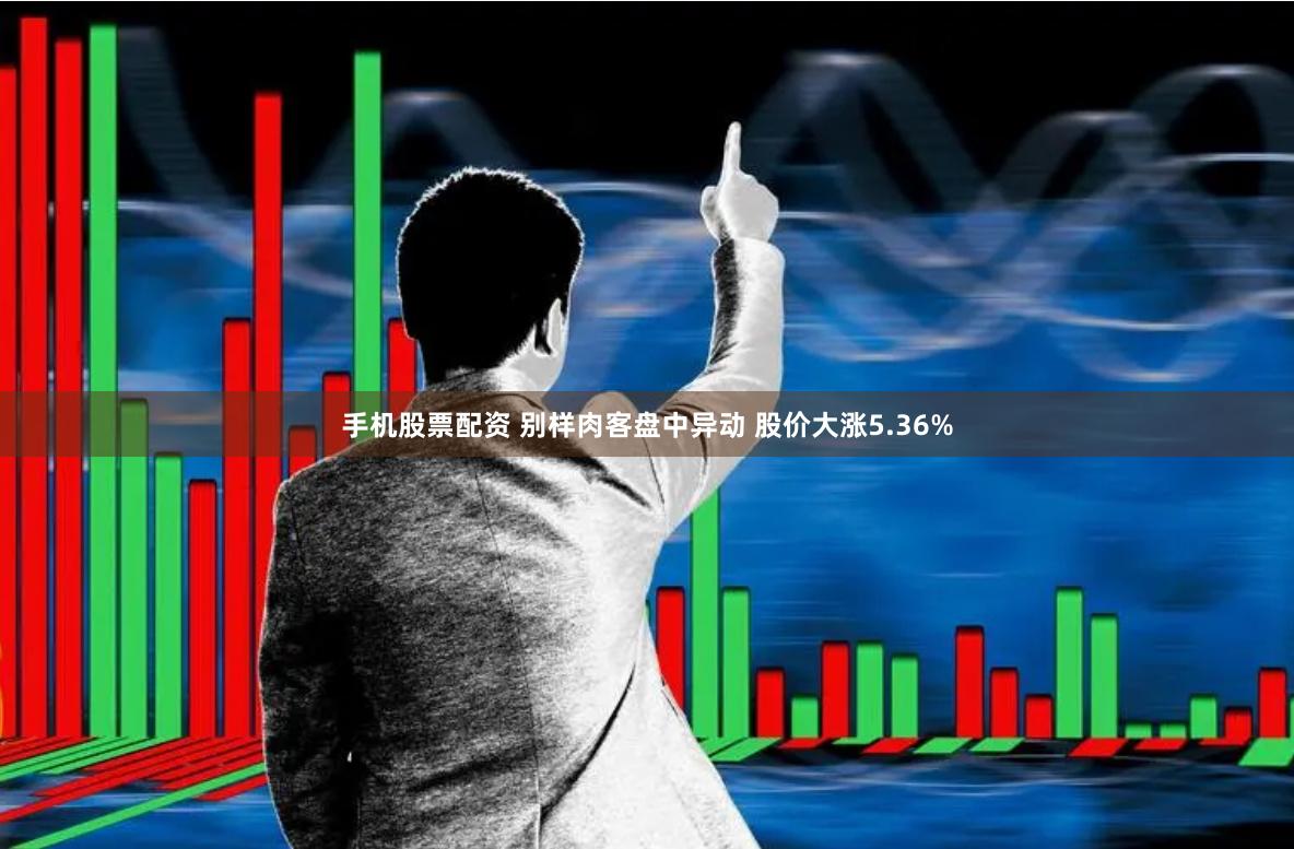 手机股票配资 别样肉客盘中异动 股价大涨5.36%